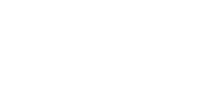 Net